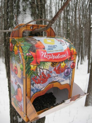 Кормушка для птиц своими руками из коробки из под конфет Кормушка для птиц своими руками из коробки из под конфет